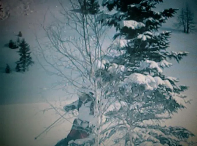 Apartment Gaestehaus Stadle