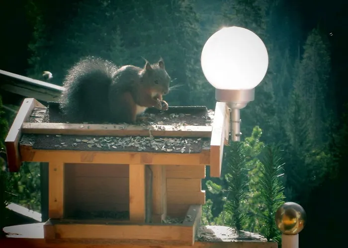 Gaestehaus Stadle Apartment